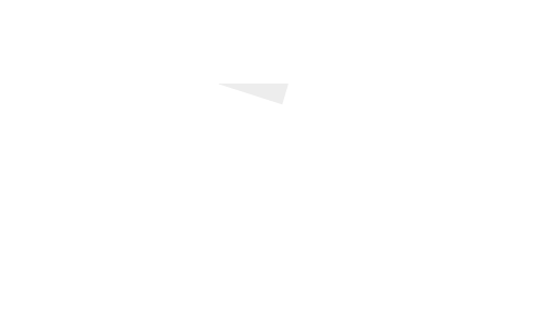 light logo